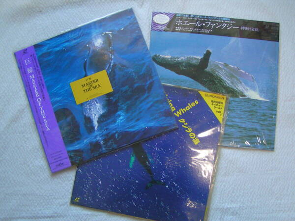 5483【550円+送料850円】《クジラをテーマにしたレーザーディスク3枚》「巨鯨 Master of The Sea」・「クジラの海」・「神鯨伝説」等