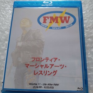 FMW フロンティア・マーシャルアーツ・レスリング vol.11 大仁田厚特集 電流爆破デスマッチ グレート・ニタ 天龍源一郎 新日本大仁田劇場