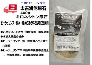 新品　ミロネクトン　海泥原石400ｇ　２個セット　800ｇ　送料無料-1