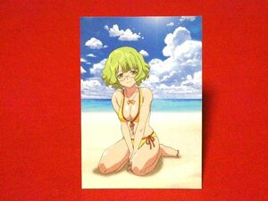 AKB0048　TradingCard　カードトレカ　神崎鈴子