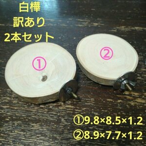  circle futoshi cut . stock. perch ( white birch )(TOY-08-022) with translation set B