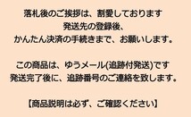 アルミステップバー(固定式) ブラックアルマイト レース用ステップキット、バックステップ補修等に汎用品 2本セット 新品_画像2