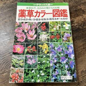 K-1694■薬草カラー図鑑 春夏秋冬、効きめの確かな435種 デラックス版■主婦の友社■昭和58年3月31日 第3刷