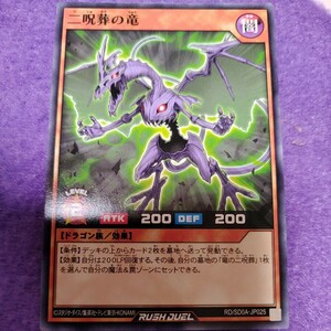 遊戯王 ラッシュデュエル 二呪葬の竜 ノーマル RD/SD0A-JP025