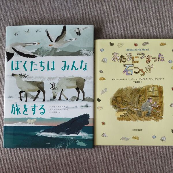 2冊セット あたまにつまった石ころが ぼくたちはみんな旅をする