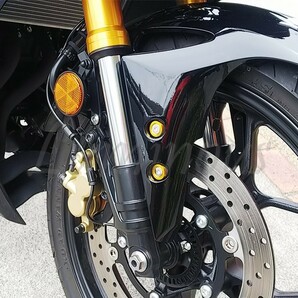 GPZ750R GPZ900R GPZ1000RX GPZ1100F ZX25R ZX-4R ZX6R ZX7R ZX9R ZX10R ZX12R ZX14R 汎用 M6 ナンバー/ボルト/カバー カウルボルト 青の画像7