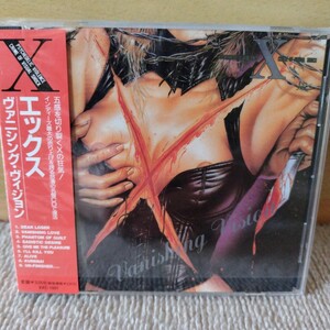 X JAPAN VANISHING VISION ワーナー盤