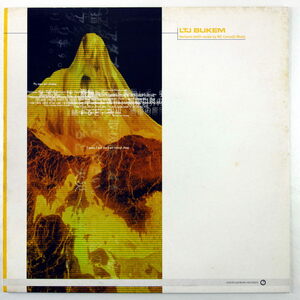 LP/LTJ Bukem/Horizons (Vocal Mix) / Music/96年/Good Looking/GLR001J/Drum n Bass