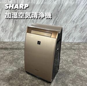 SHARP 加湿空気清浄機 KI-GX100-N 〜46畳 Q234