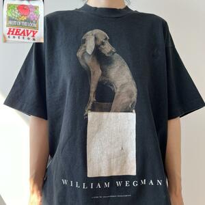 GF292 87年 80s Tシャツ ビンテージ ウィリアム ウェグマン 犬