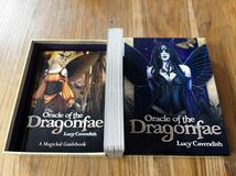 英語版　Oracle of the Dragonfae_画像5