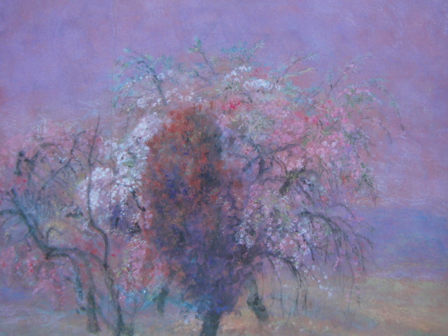 Miyoko Kato, [Nobe no Sakura], De una rara colección de arte enmarcado., En buena condición, Nuevo marco incluido, interior, primavera, Flores de cerezo, Cuadro, Pintura al óleo, Naturaleza, Pintura de paisaje