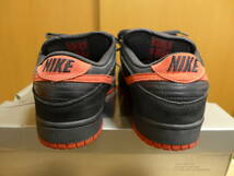 【美品1回試し履き】【27.5cm】【NIKE】DUNK SB “Vamps”_画像4