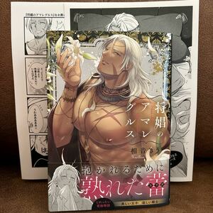 2月刊◆相音きう『将娼のアマレグルス』コミコミ特典ペーパー/店舗共通特典ペーパー付き