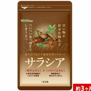 サラシア 3ヶ月分 シードコムス【食べる前にバリア】炭水化物 バナバエキス 菊芋エキス サラシア茶 ダイエット サラシノール