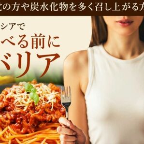 サラシア 3ヶ月分 シードコムス【食べる前にバリア】炭水化物 バナバエキス 菊芋エキス サラシア茶 ダイエット サラシノール