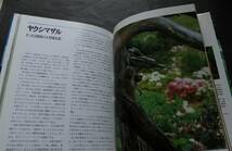 屋久島-世界遺産の自然　景観と動植物・写真と解説　遺産条約　屋久杉　樹上植物　蘭　ツマベニチョウ　水辺の風景　ヤクシマザル　他_画像9