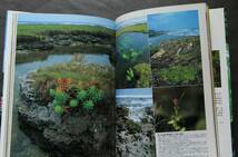 屋久島-世界遺産の自然　景観と動植物・写真と解説　遺産条約　屋久杉　樹上植物　蘭　ツマベニチョウ　水辺の風景　ヤクシマザル　他_画像7