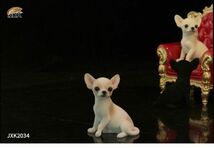 JXK チワワ 可愛い 犬 動物 リアル フィギュアPVC プラモデル 大人のおもちゃ 模型 6cm級 犬好き 誕生日 プレゼント 置物 JXK2034B_画像1