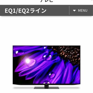 シャープ SHARP AQUOS アクオス 55V型4T-C55EQ1