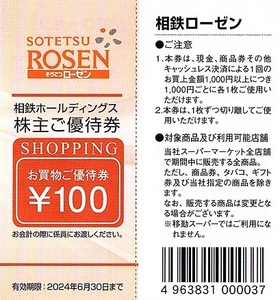 相鉄ローゼン　株主優待券　100円割引券　25枚set（2500円分）2024年6月末迄有効　相模鉄道・相鉄