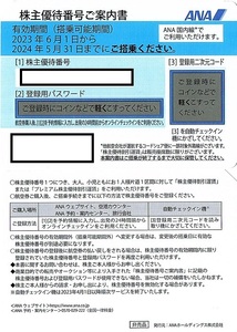 ANA（全日空）株主優待券　50％割引券　1枚　2024年5月末迄有効　メール送付可