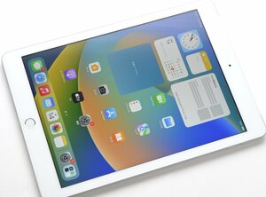 ∞ 1円～最短発送 送料無料 液晶美品 SIMフリー iPad6 32GB (第6世代) NR6P2J/A (MR6P2J/A) Wi-Fi+Cellular 6391