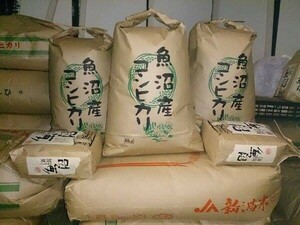 南魚沼産コシヒカリ加工用　玄米20kg