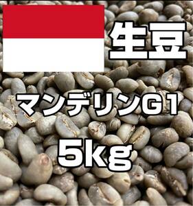 【コーヒー生豆】マンデリンG1　5kg　 ※送料無料！