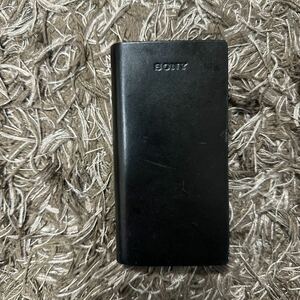 SONY CKL-NWZX2 NW-ZX2用純正レザーケース