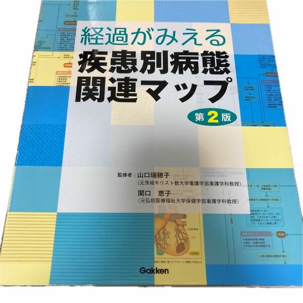 経過がみえる疾患別病態関連マップ （第２版） 山口瑞穂子／監修　関口恵子／監修