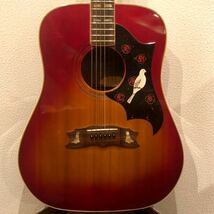 【ジャンク】ARIA WD30 アリア アコースティックギター DOVE Humming Birdタイプ ジャパンヴィンテージ 1970〜80年代_画像2