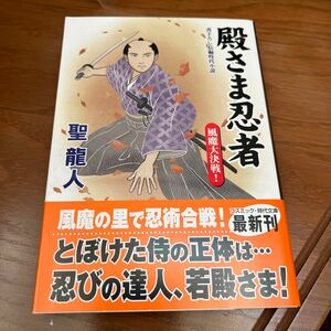 殿さま忍者　書下ろし長編時代小説　〔２〕 （コスミック・時代文庫　聖龍人／著