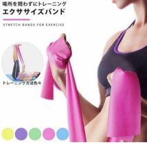 エクササイズバンド　トレーニングゴム　トレーニングチューブ　ダイエット　ピンク_画像2