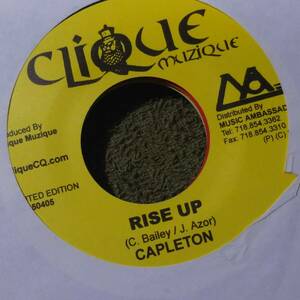 Wicked New Roots Track Last Days Riddim Single 3枚Set from Clique Muzique Capleton Morgan Heritage Sizzla