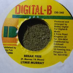 Gully Gully Riddim Single 3枚Set #1 from Digital-B Lymie Murray Ras Shiloh Mikey Spice