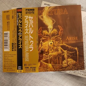 ☆　Sepultura　アライズ　旧規格帯付　ハードロック　ヘビーメタル　スラッシュメタル　セパルトゥラ 日本盤 帯付 廃盤