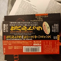 ☆　セパルトゥラ　ビニースザリメインズ　1991年リマスター盤　Sepulturaハードロック　ヘビーメタル　スラッシュメタル 国内盤 帯付_画像2