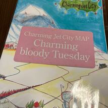 JUDE SHERBETS 浅井健一　缶バッジ　地図ポスター　ステッカーセット　BLANKEY JET CITY_画像4