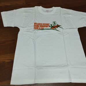 三重県志摩市 志摩ロードパーティー2008マラソン大会参加賞 Tシャツ Lサイズ