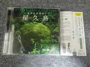 CD＆DVD（58分） 世界自然遺産 屋久島 Yakushima 水と緑に溢れる原始の島 大自然を体感！ 立体サウンド 自然音 映像 ヒーリング ●帯なし