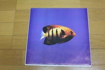 ●808 State - 90　ヨーロッパ盤LP_画像3