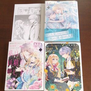  冬芽沙也「義妹が聖女だからと婚約破棄されましたが、私は妖精の愛し子です」全３巻