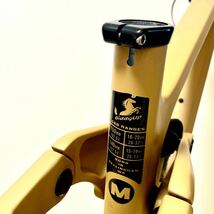 MTB フレーム　トランジション　センチネル　カーボンロームゴールド　Ｍサイズ　/　TRANSITION BIKES SENTINEL CARBON　LORM GOLD SIZE：M_画像8