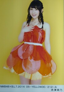 NMB48　BLT2014 5月　YELLOW　生写真　 赤澤萌乃　A1枚