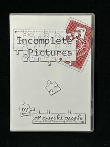 Incomplete Pictures　こざわまさゆき　2枚組DVD