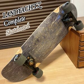 LANDYACHTZ ランドヤッツ コンプリート Skateboard スケボー