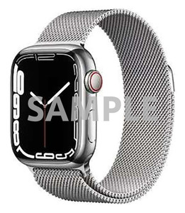 Series7[41mm セルラー]ステンレススチール Apple Watch A2476…