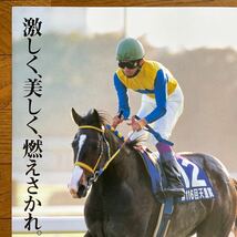 JRA ヒーロー列伝 NO44 エアグルーヴ B3ポスター_画像2