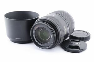 ■美品■Panasonic LUMIX G VARIO 45-200mm F4-5.6 MEGA O.I.S H-FS045200■F235 パナソニック